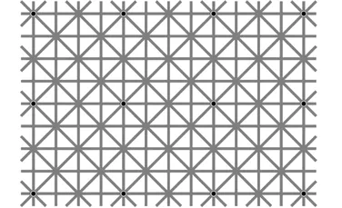O nouă iluzie optică a devenit virală. Tu poţi vedea 12 puncte negre în imagine?