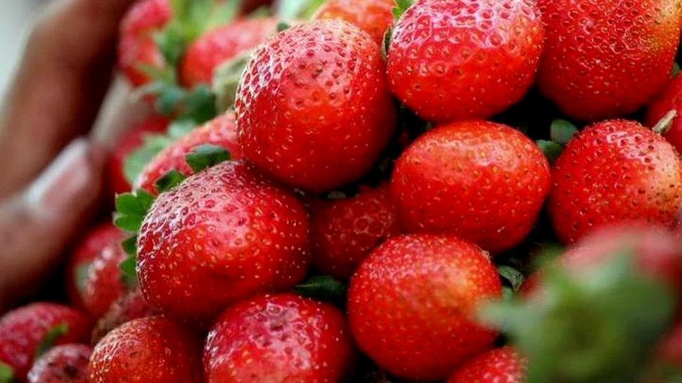 Fructele şi legumele cu cele mai multe pesticide