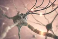 Cercetătorii au folosit cu succes microboți pentru a vindeca pneumonia din plămânii șoarecilor