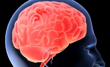 Creierul uman are propriul „detector” al ironiei!