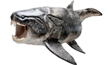 A fost descoperit primul vertebrat dotat cu dinţi: un peşte care a dominat oceanele timp de 70 de milioane de ani