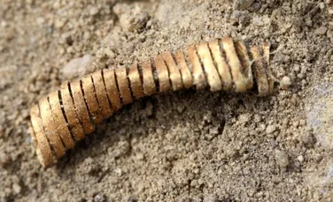 Spirale stranii din aur datând din Epoca de Bronz au fost descoperite la un sit arheologic din Danemarca