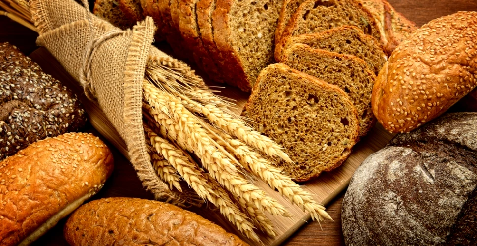 Mituri desfiinţate despre pâine. De ce ne recomandă cercetătorii să consumăm acest aliment?