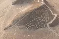 Noi geoglife au fost găsite în deșertul Nazca din Peru. Ce reprezintă?
