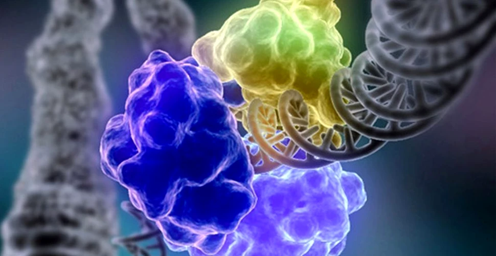 Cercetătorii au stabilit diferenţa majoră dintre ADN şi ARN