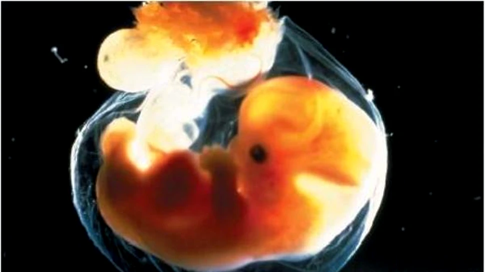 De ce este „esenţială” modificarea genetică a embrionilor