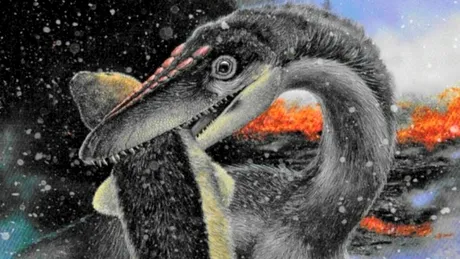 Dinozaurii au pus stăpânire pe Pământ pe frig, arată un studiu extraordinar