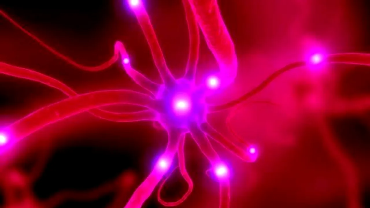 1-neuron 