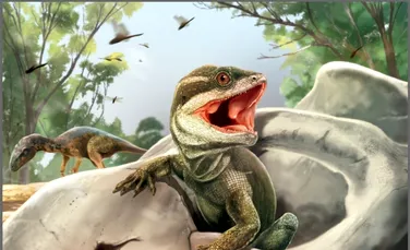 Strămoșul tuturor reptilelor cu solzi, descoperit de oamenii de știință în Argentina