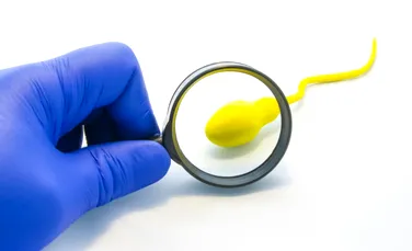 Spermatozoizii poartă urmele stresului din copilărie, arată un studiu