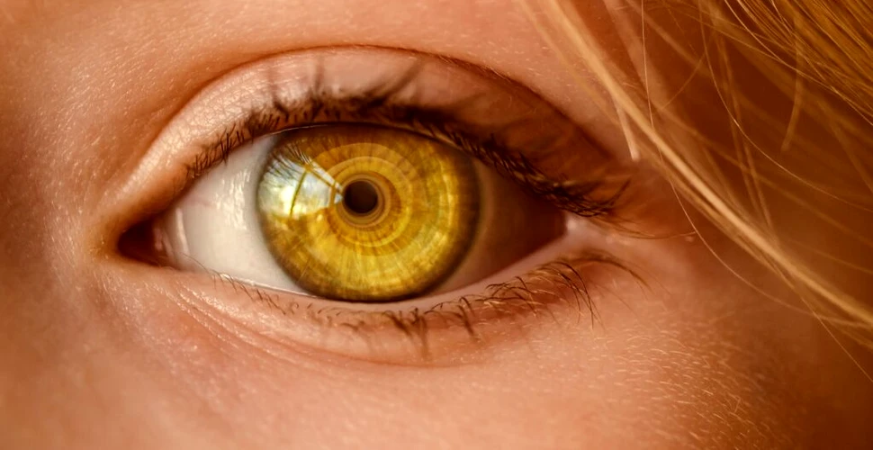 Un parazit care preferă retina infectează până la 50% dintre oameni. Ce anume ni-l transmite?
