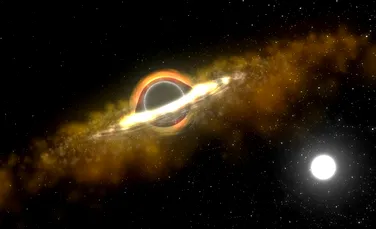 Universul ar putea fi plin de găuri negre care nu mor niciodată