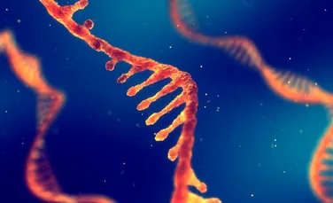 Cum afectează schimbările de mediu formele ARN-ului în celulele vii?