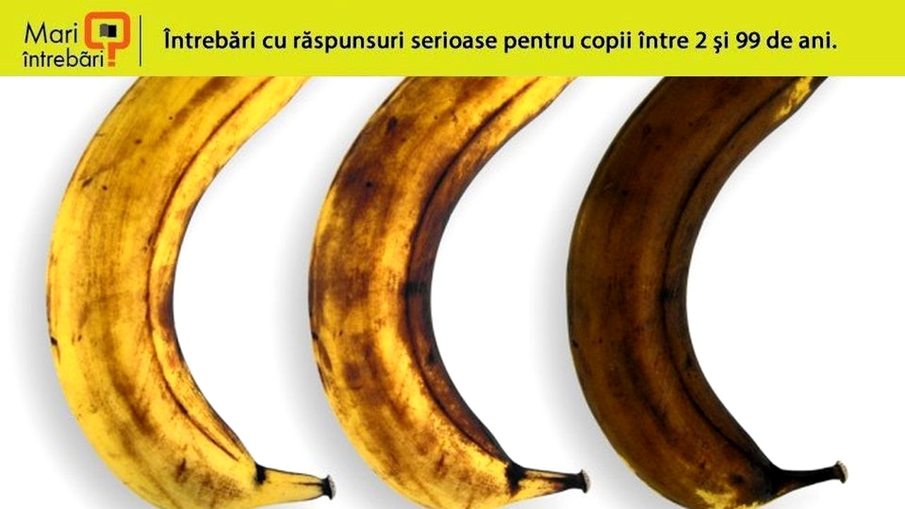 penisul pubertății