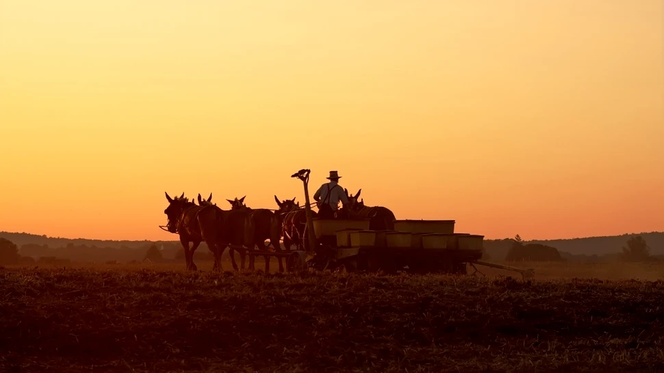 Comunităţile Amish – între legende urbane şi adevăr