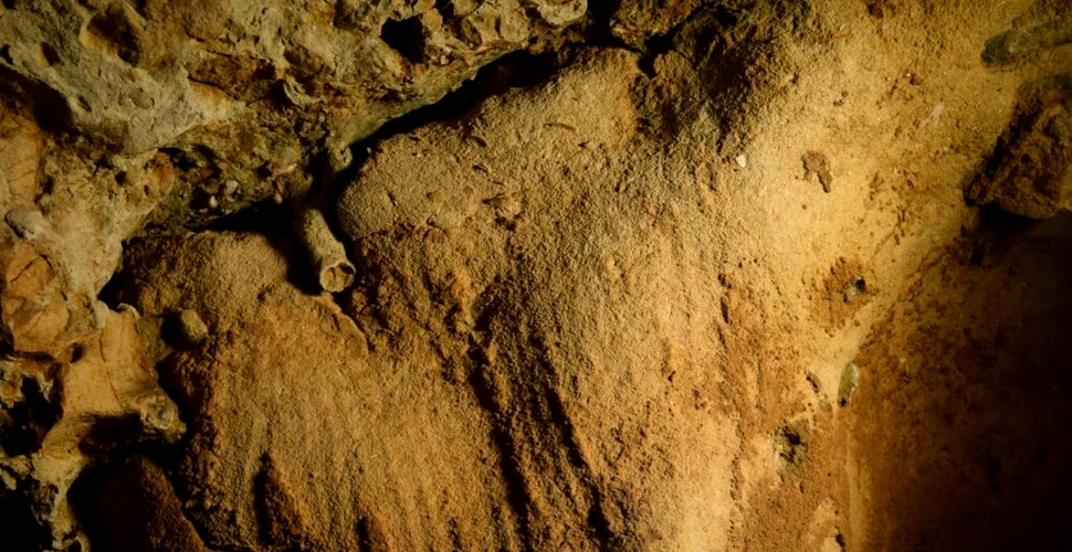 Cele mai vechi opere de artă create de neanderthalieni, găsite în Franța
