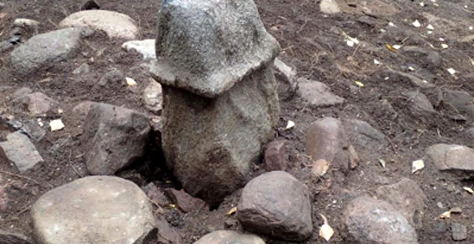 Statuie în formă de falus, veche de peste 3.000 de ani, descoperită de arheologi în Suedia