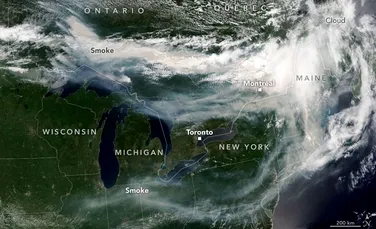 Fumul incendiilor de vegetație din Canada, vizibil din spațiu