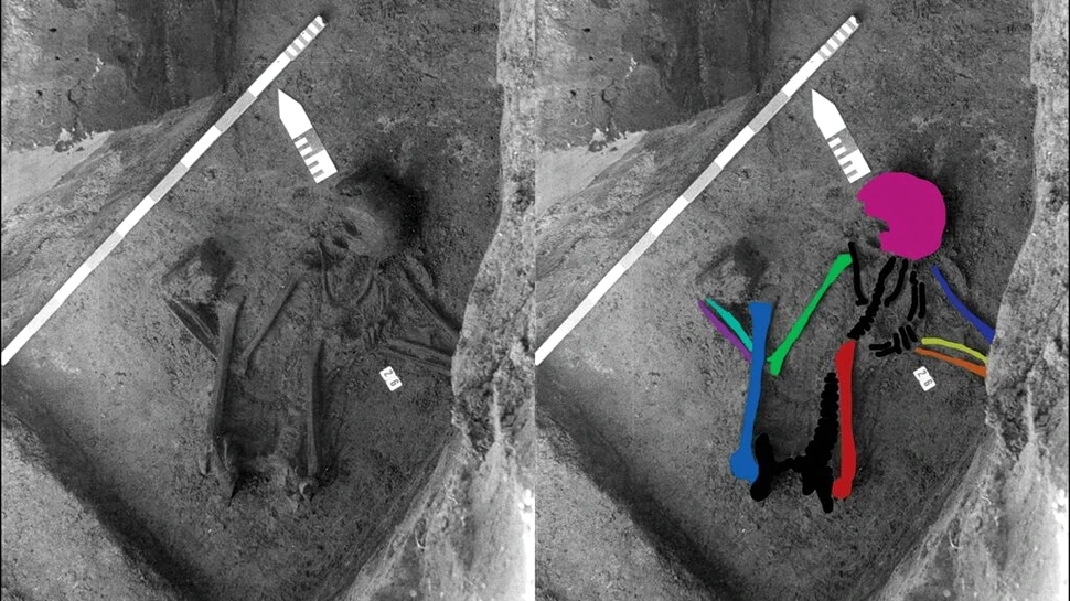 Un schelet bizar din Belgia conține oase de la 5 oameni cu o vechime de 2.500 de ani