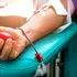 Test de cultură generală. Care grupă de sânge mai este numită și „donatorul universal”?