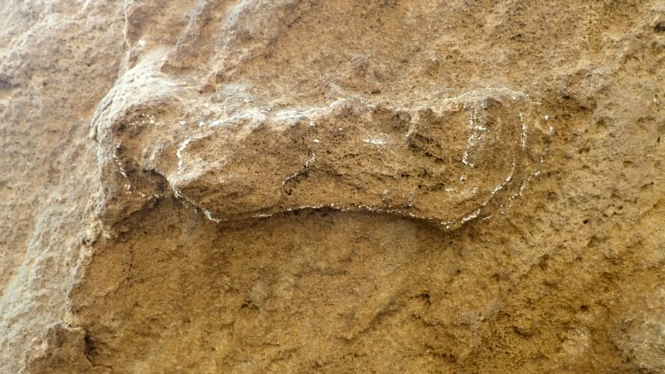 Cele mai vechi urme de pași făcute de Homo sapiens datează de acum 153.000 de ani