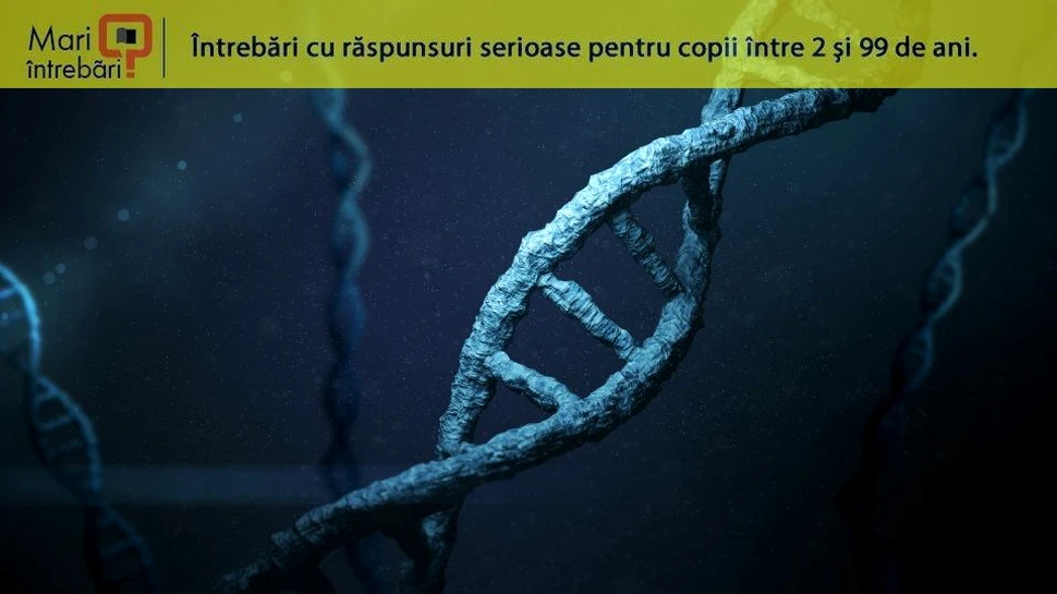 Ce este modificarea genetică?