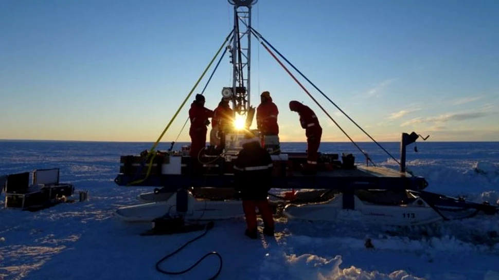 O abundență șocantă de forme de viață, descoperită sub o banchiză din Antarctica