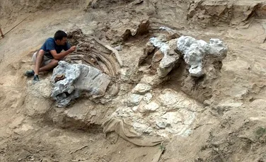 Un adevărat „titan” al dinozaurilor din Cretacic, dezgropat în Spania