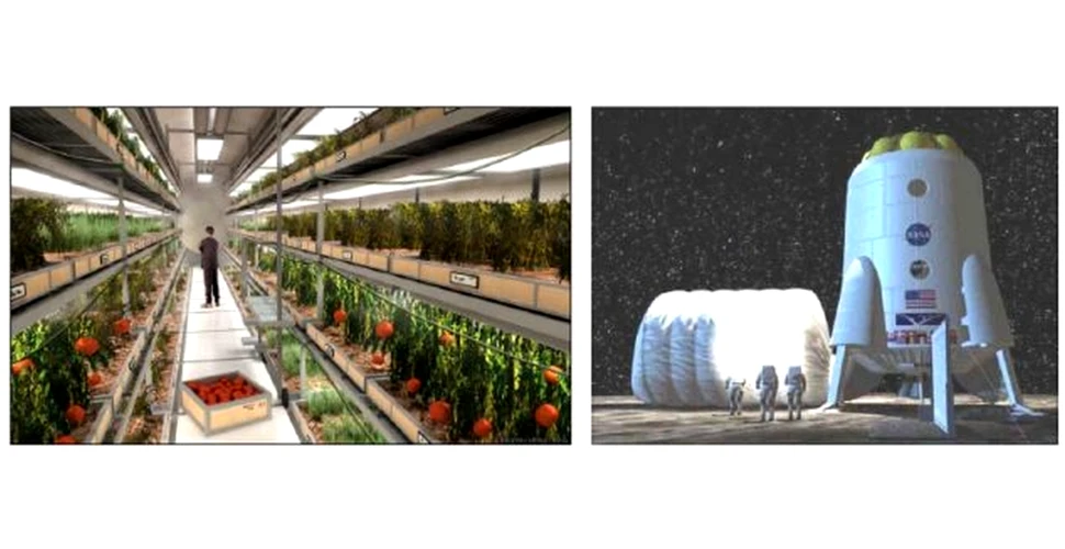 Cum vom cultiva legume şi fructe pe Lună şi pe Marte? Soluţia inedită: reciclând urina astronauţilor!