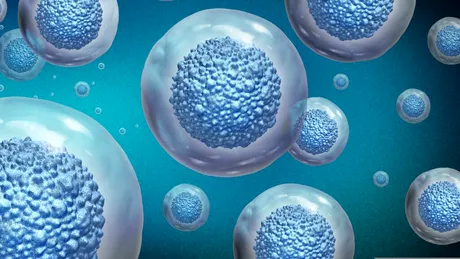 Un microorganism cu o abilitate remarcabilă trăiește în cele mai ostile lacuri ale Pământului