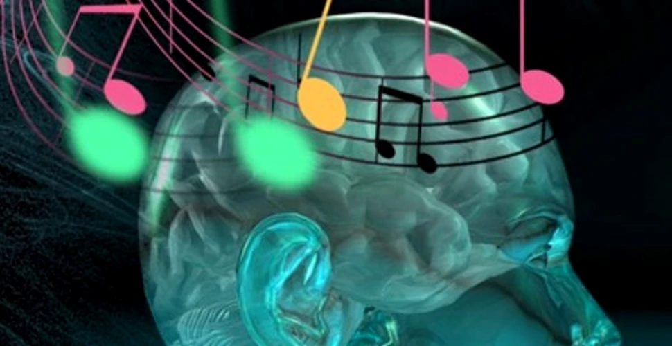 Muzica poate fi creată din impulsuri nervoase
