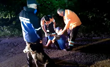 FOTO. Gest impresionant al unui câine care a ajutat un biciclist, căzut în Munţii Semenic, să supravieţuiască