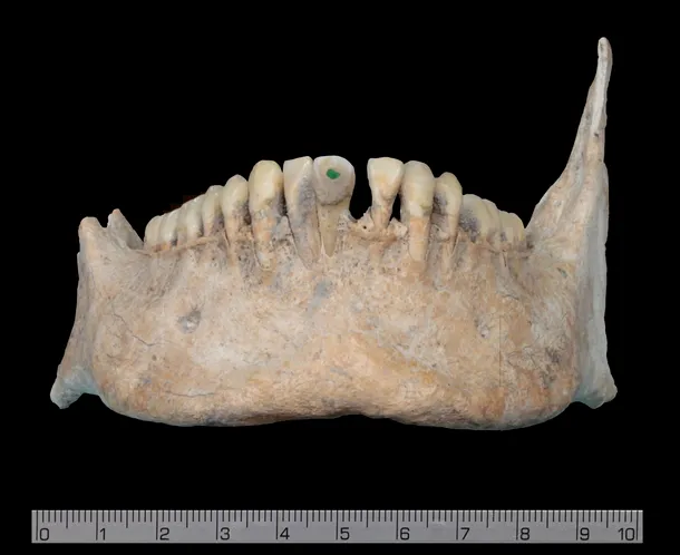 Unele dintre cadavre aveau decoraţii din jad pe dinţi, lucru care susţine ideea că victimele de la Uxul au fost nobili