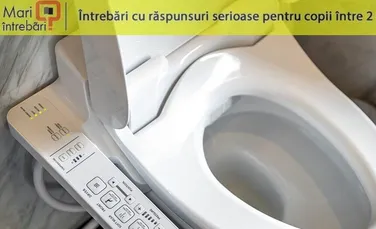 De ce sunt toaletele albe?