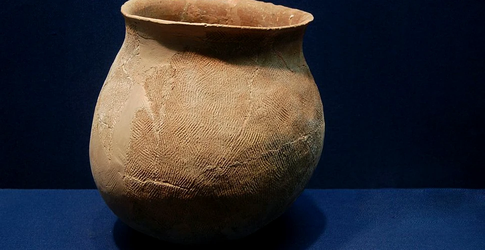 Descoperirea unor vase de ceramică din Epoca Bronzului oferă indicii legate de modul în care strămoşii noştri îşi hrăneau bebeluşii