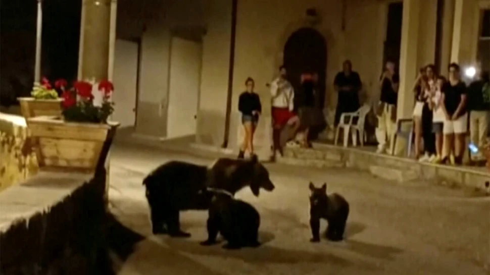 Italianul care a ucis ursoaica Amarena spune că „de trei zile nu am dormit și nu am mâncat, nu mai trăiesc”