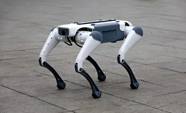 Într-un oraș din România, roboții merg pe străzi și îndeamnă trecătorii să păstreze curățenia