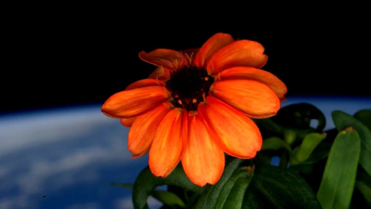 1-cy8d84sumaat-6c-jpg-large-jpg-20large 