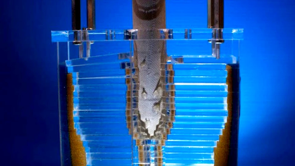 Cum creşte o plantă-robot? (VIDEO)