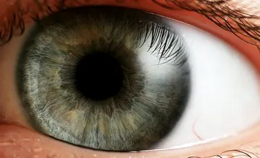 Ochii ar putea fi cheia remediului pentru malarie
