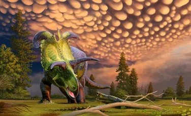 Dinozaurul Lokiceratops are cele mai impresionante coarne descoperite până acum