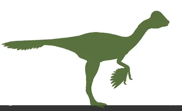 De ce aveau dinozaurii pene?