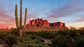 Noi specii din Triasicul târziu, scoase la lumină în statul american Arizona