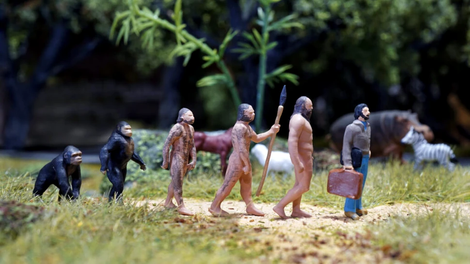 Jumătate dintre microbii intestinali moșteniți de la primate ne-au „părăsit”