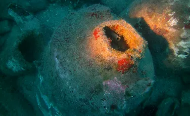 Descoperire inedită pe fundul Mării Ligurice. S-a păstrat pe fundul apei mai bine de 1800 de ani  – FOTO