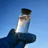 Oamenii de știință au creat alge care ar putea elimina microplasticul din apa potabilă