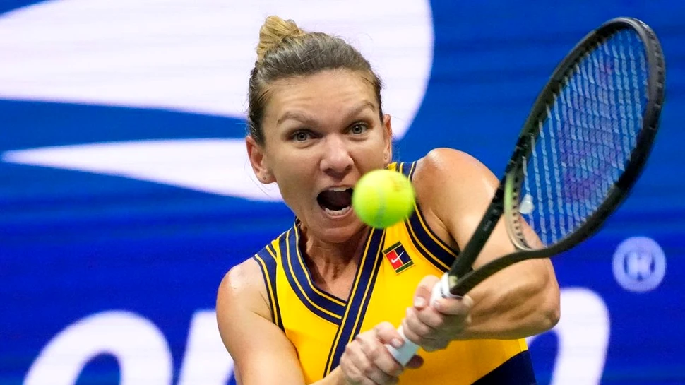 O nouă specie de insectă, descoperită în Constanța, a fost denumită după Simona Halep