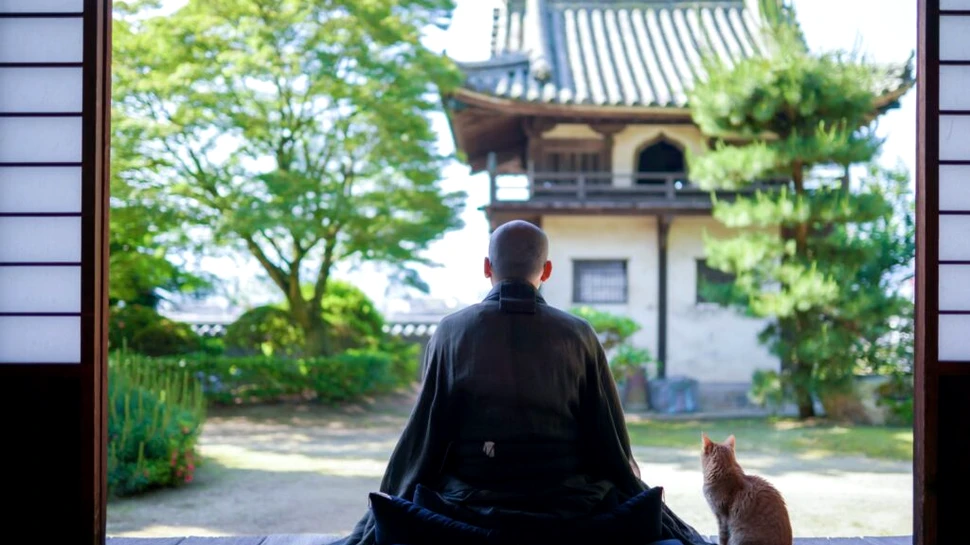 Un oraș din Japonia a inventat mii de locuitori ca să ia mai mulți bani de la stat