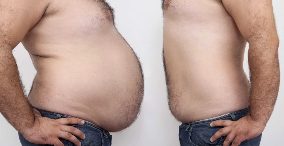 Misterioasa grăsime brună – soluţia-miracol împotriva obezităţii?