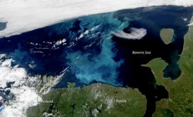 Savanţii au scos la iveală un efect catastrofal al topirii gheţii de la Polul Nord. ”Vor exista consecinţe drastice”